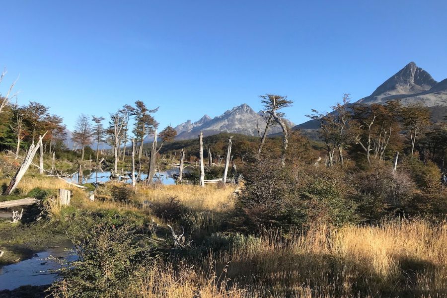 <span>Tag 8<p>Ushuaia - Wandertag zur Esmeralda-Lagune</p></span>