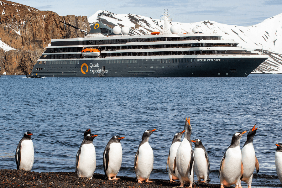 16 jours - Géorgie du Sud et Péninsule Antarctique : Safari Pingouin