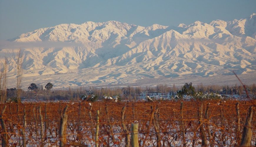 Voyage dans la vallée d'Uco. Visites guidées des vignobles de Mendoza dans la Vallée de Uco