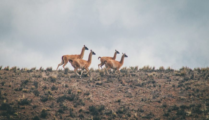 Jujuy, Humahuaca - Voyage en Argentine