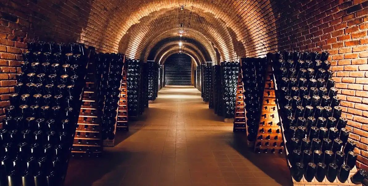 Luxury trips Argentina. Chandon cellar.