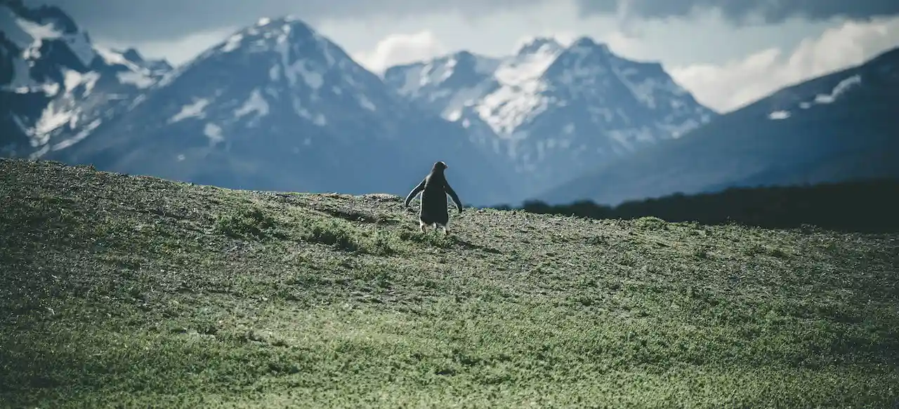 Patagonien Abenteuer Touren