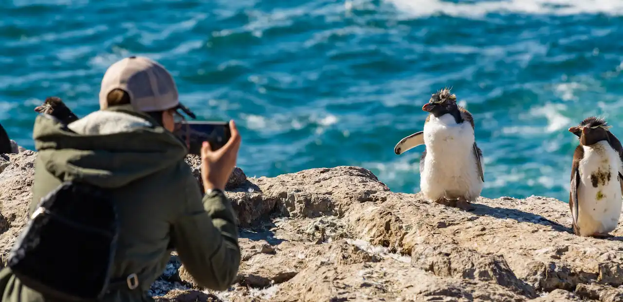 Patagonia Wildlife Tours