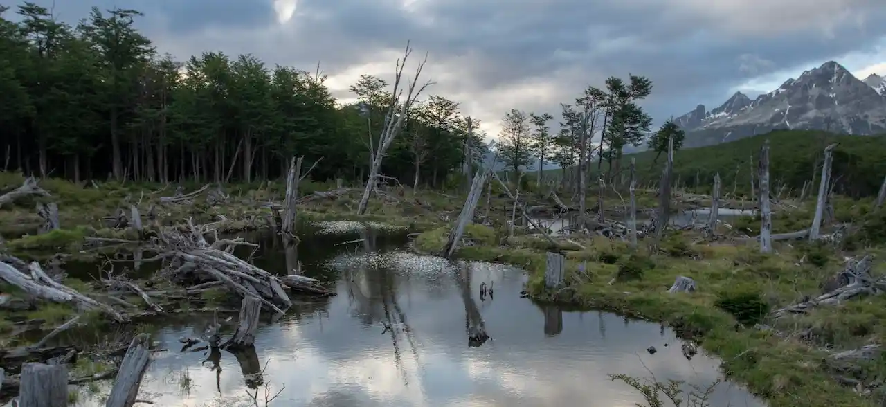 Viajes de 4 días a Ushuaia