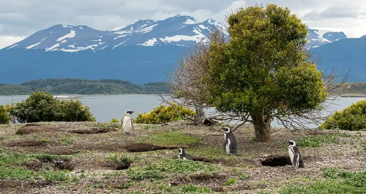 Viajes Guiados a Ushuaia