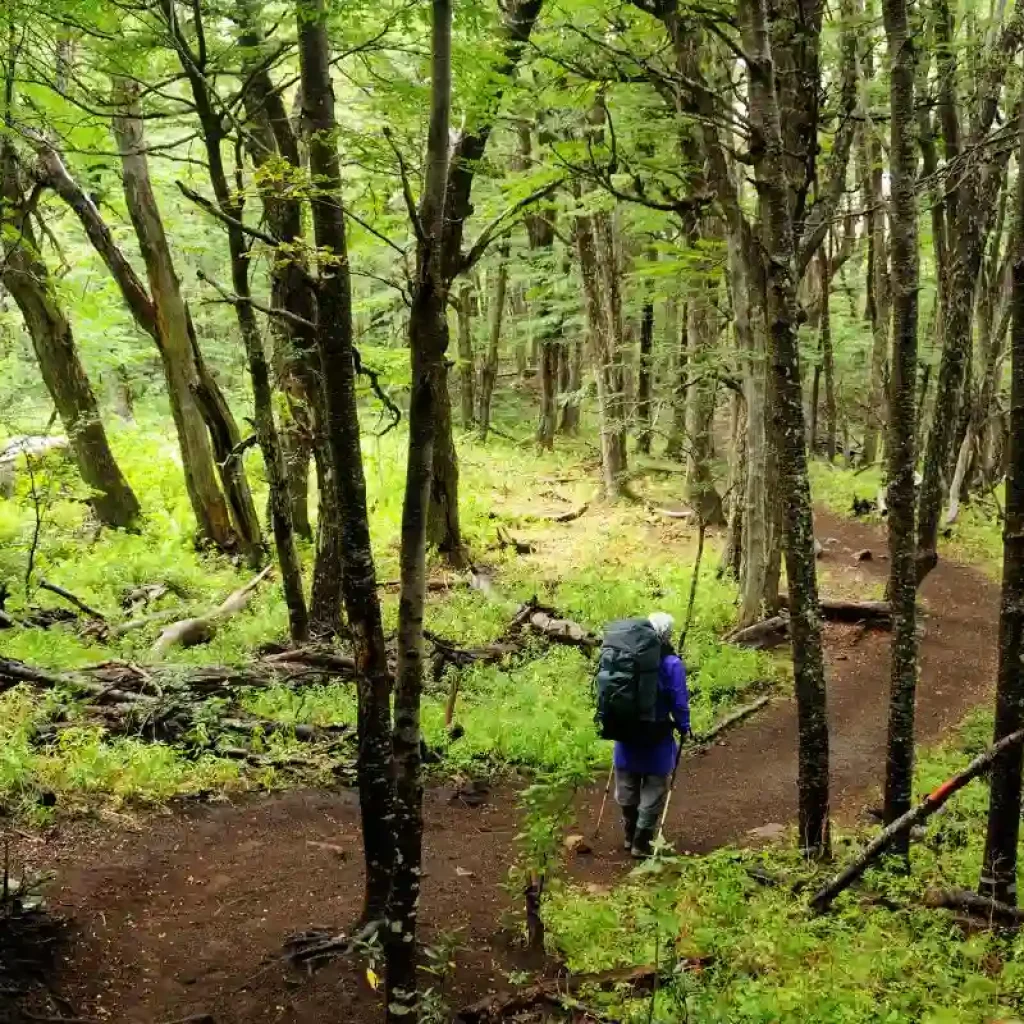 Trekking in Ruta de los 7 lagos, Neuquén, Argentina.