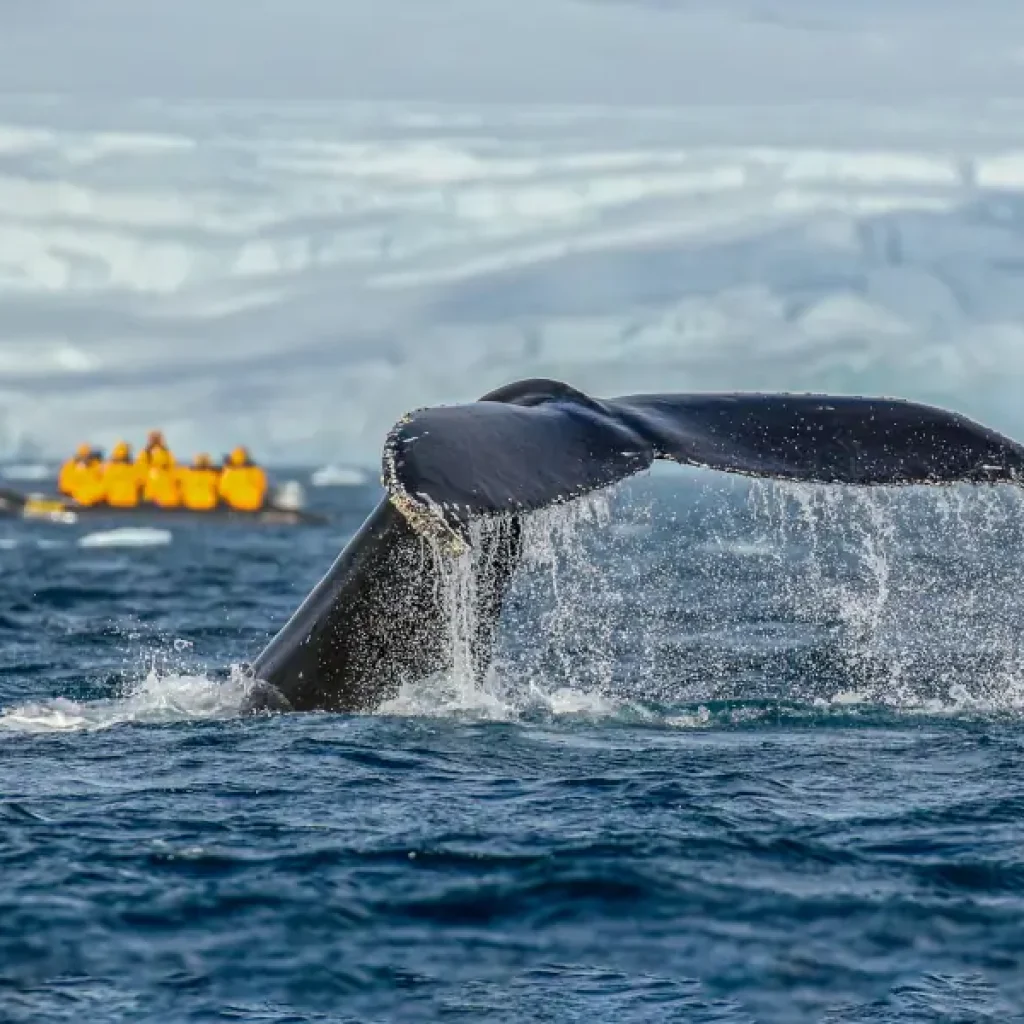 Epic Antarctica