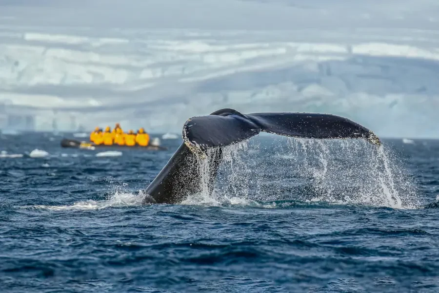 Epic Antarctica