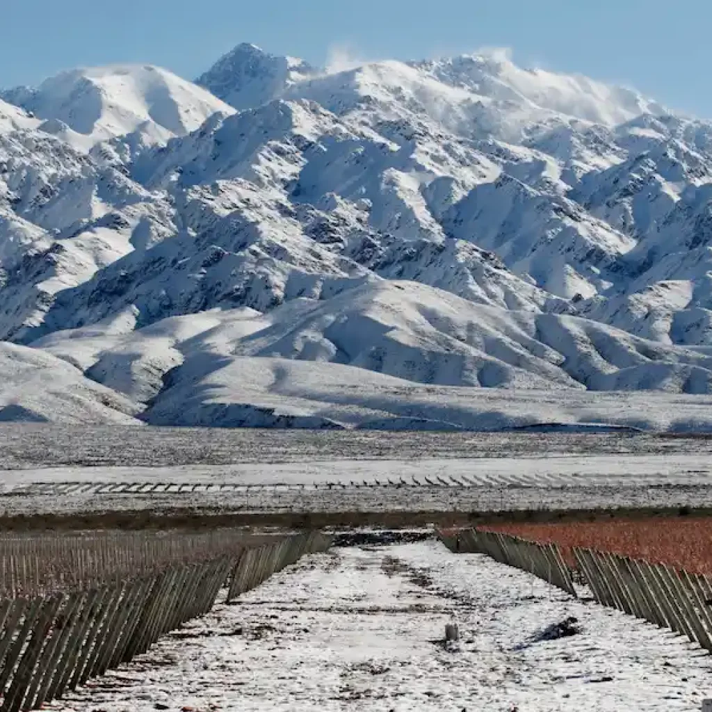 Vignobles Mendoza