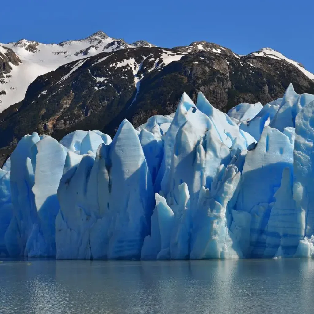 Excursion en bateau sur le Glacier Grey