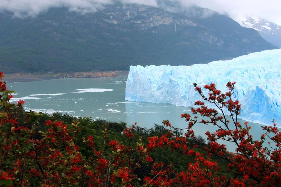 point d'observation du glacier perito moreno