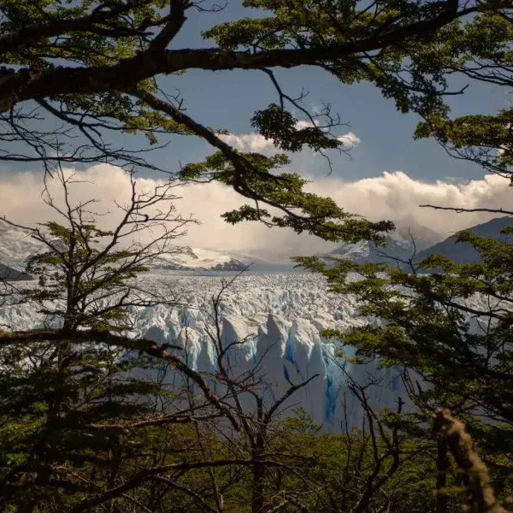 una hermosa vista desde El Calafate