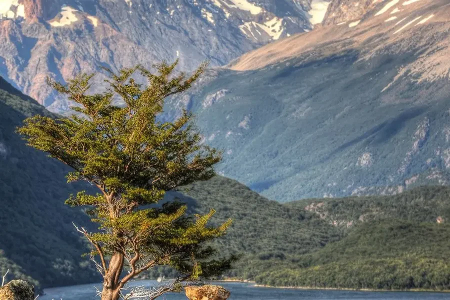 una vista muy hermosa de la laguna en El Chaltén