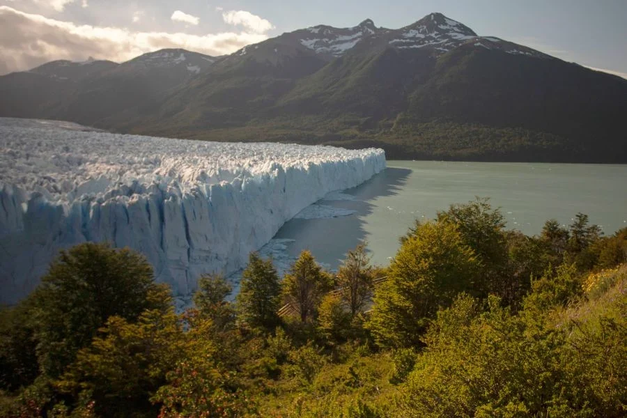 The immensity of the perito moreno glacier