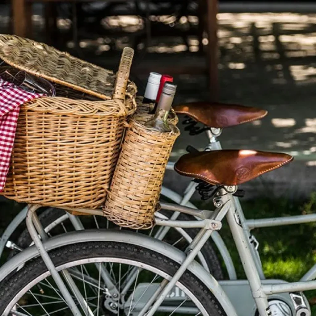 un giro in bicicletta a mendoza