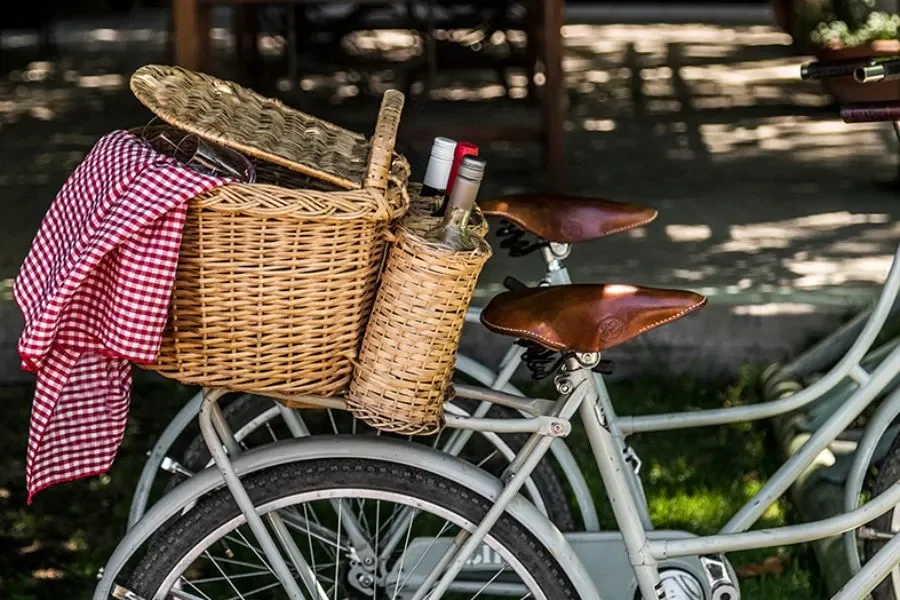 une promenade à vélo à travers mendoza