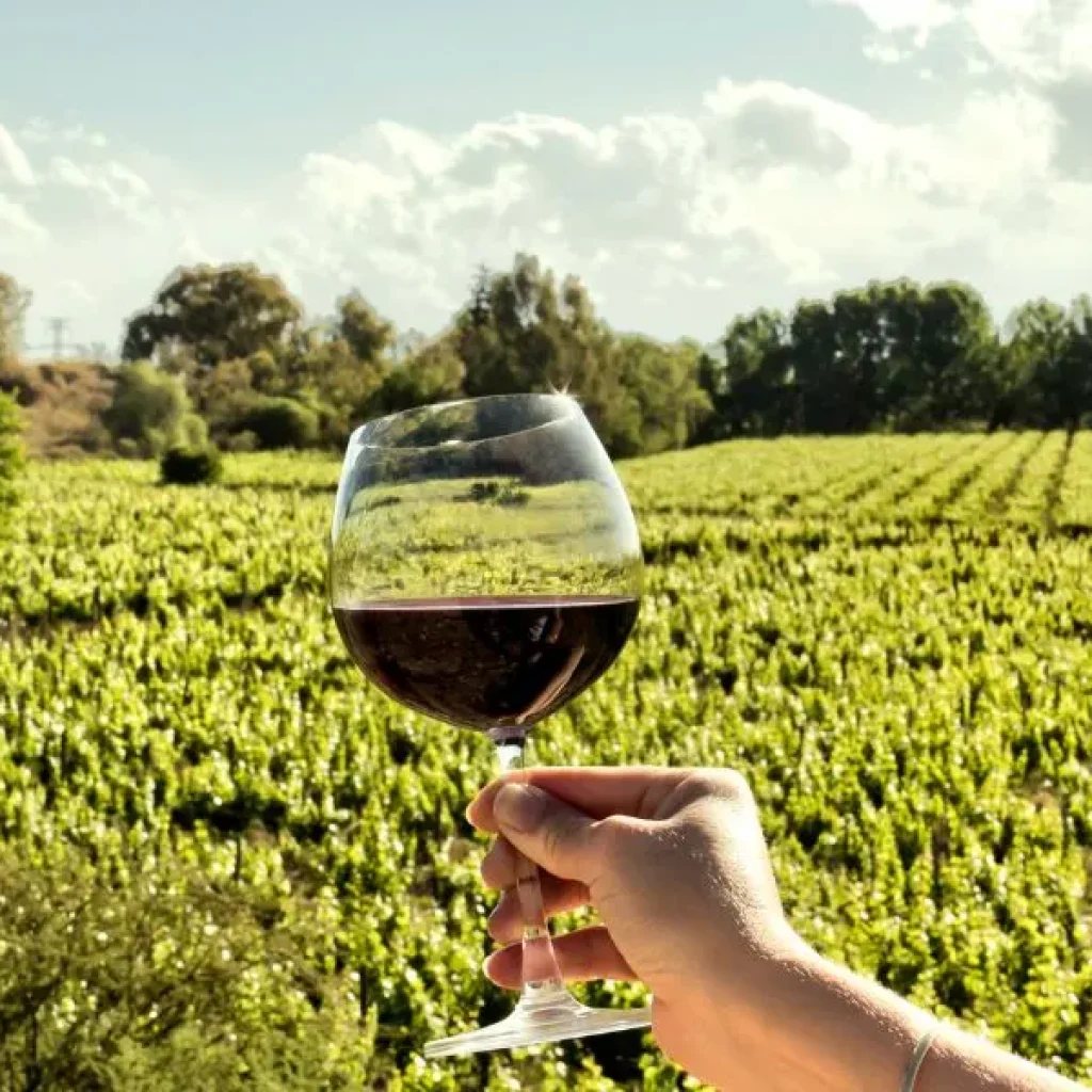 Una bellissima esperienza di visita alle cantine di Mendoza