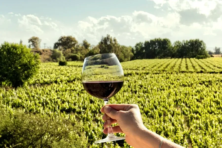 Eine schöne Erfahrung beim Besuch von Weingütern in Mendoza