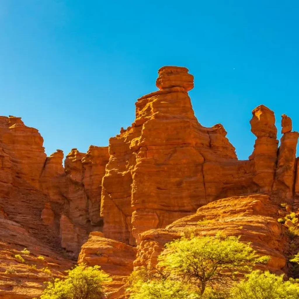 L'incredibile fauna e flora di La Rioja