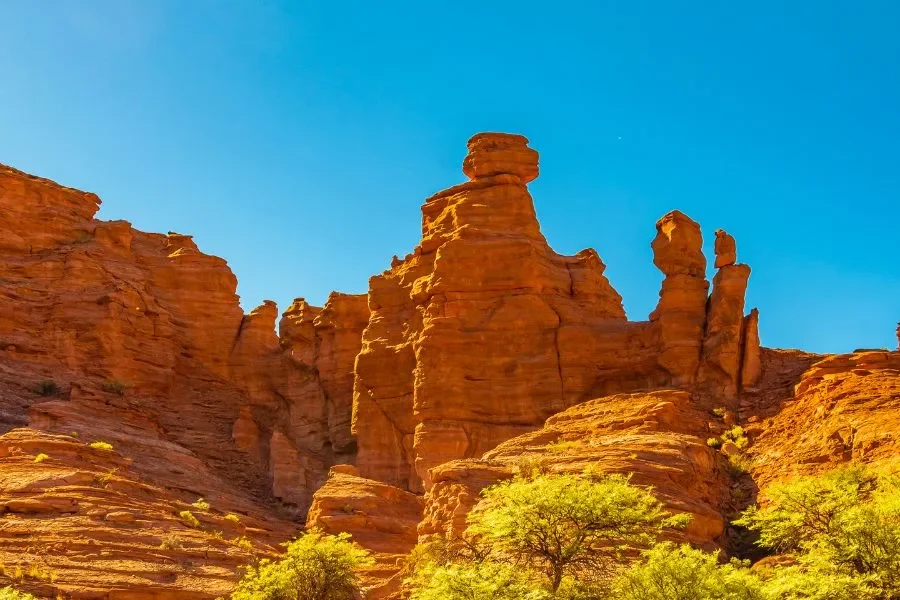 L'incredibile fauna e flora di La Rioja