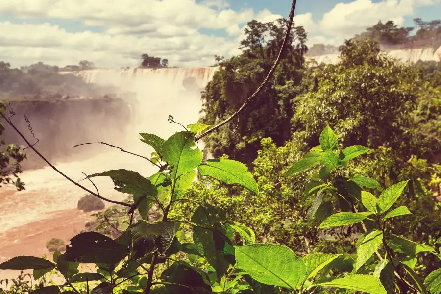 <span>Día 3<p>Puerto Iguazú: Descubrir las majestuosas cataratas de Argentina</p></span>