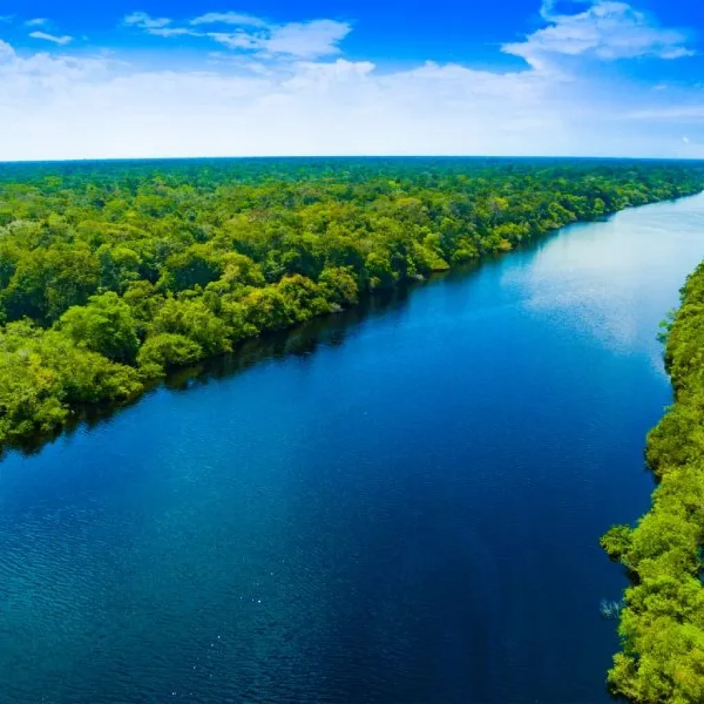 Las hermosas vistas del Amazonas