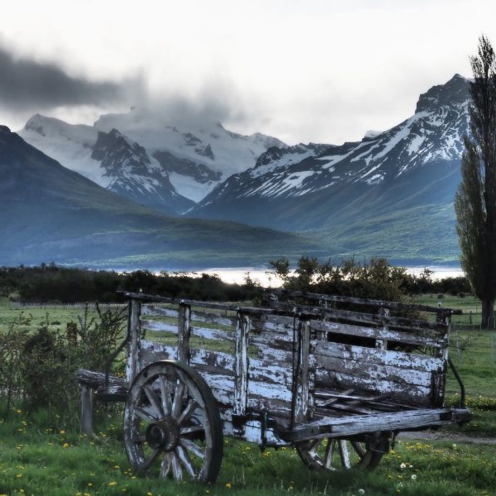 Wild beauty at the foot of the Andes