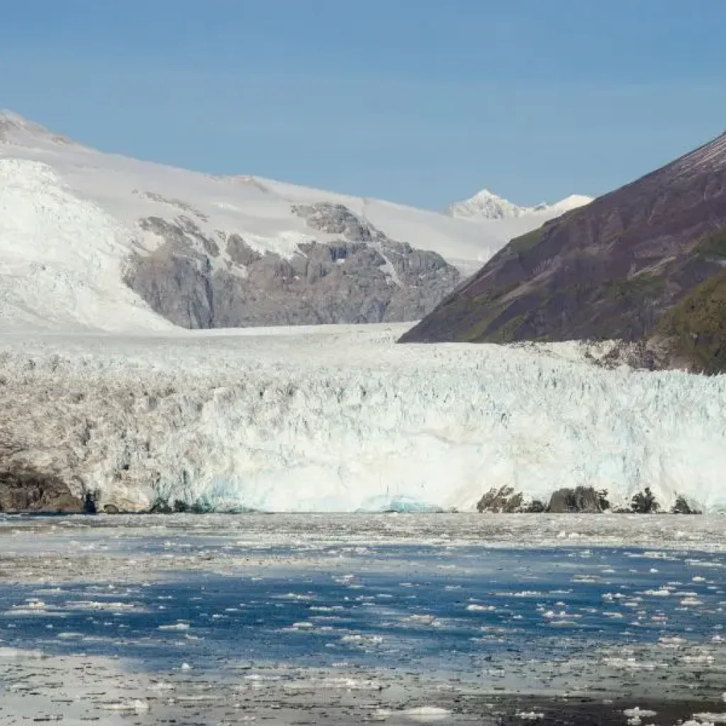 Gemma nascosta della Patagonia: Ghiacciaio Amalia, con una bellezza naturale senza pari.