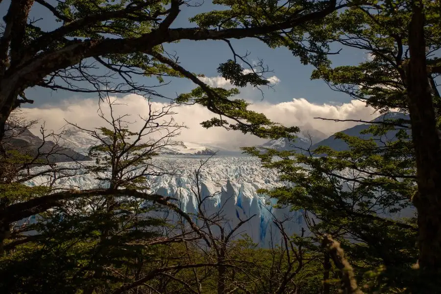 <span>Jour 6<p>Buenos Aires ? El Calafate : L'expérience Nativos</p></span>