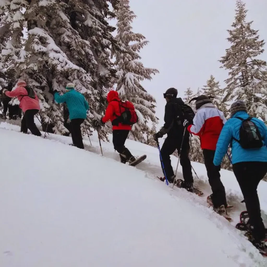 Aventure, confort et sécurité ? choisissez la compagnie touristique idéale.