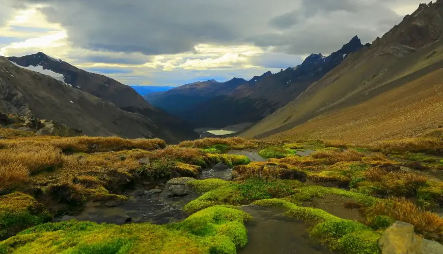 Passo John Gardner, Selva di Torres Del Paine, Patagonia, Sud America