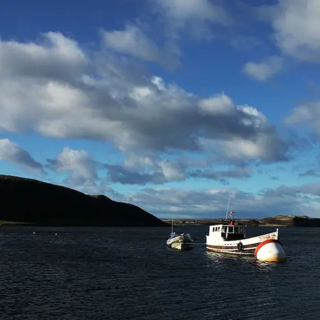 Una excursión panorámica en barco por las remotas aguas glaciares de la Patagonia.