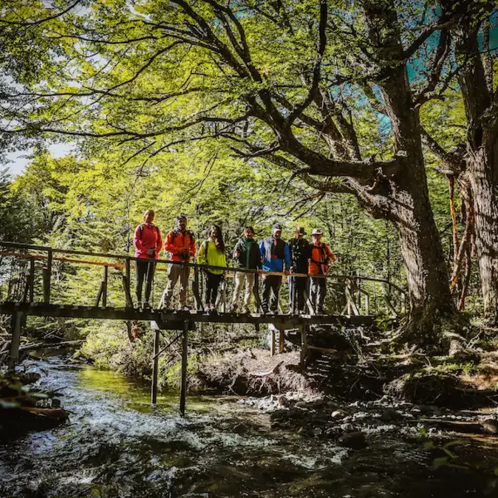 Explorez Torres del Paine avec des guides experts et immergez-vous dans la beauté de la Patagonie.