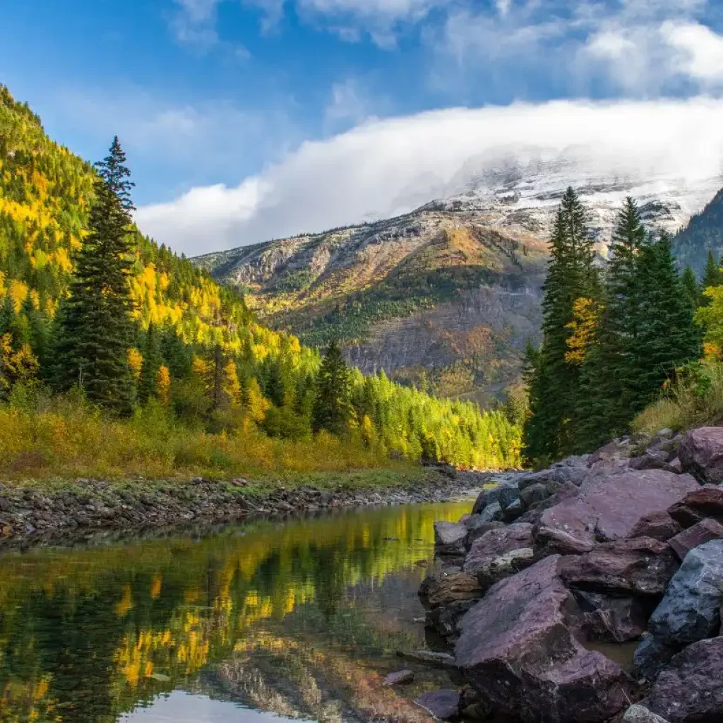 Die Herbstfarben spiegeln sich in einem kristallklaren Bach im Jeinimeni-Reservat.