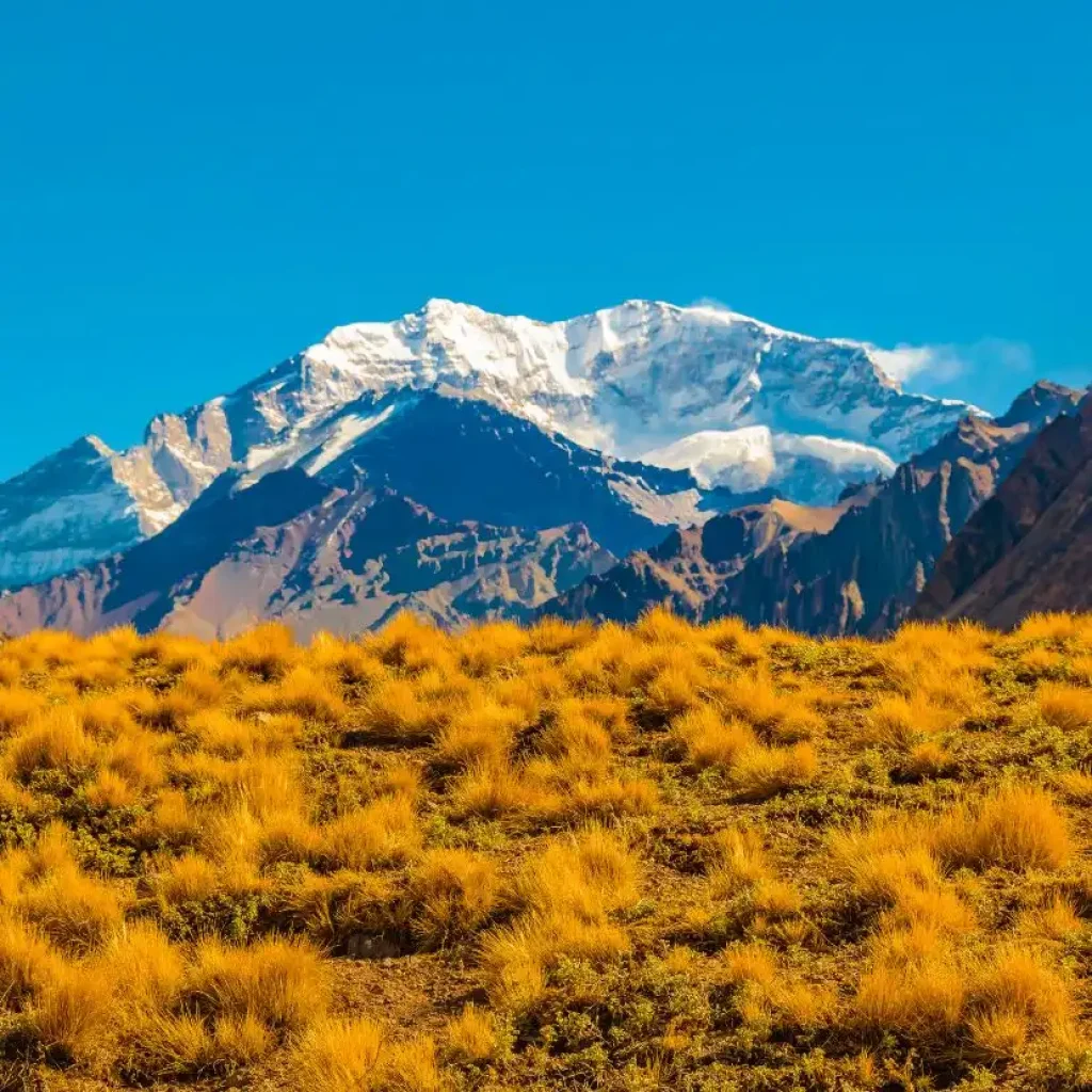 Der höchste Berg Amerikas, der Aconcagua, überragt die trockene Landschaft Mendozas.