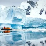 antarctica dierenriem