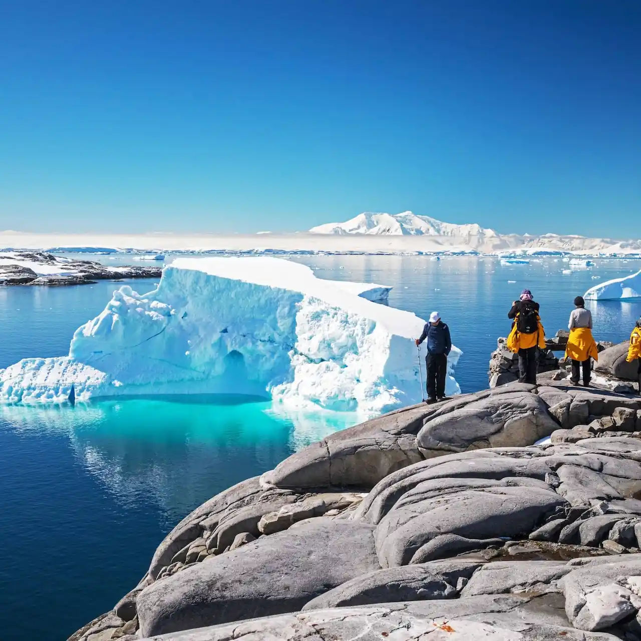 <span>Tage 16 und 17</span>Durchquerung der Drake-Passage
