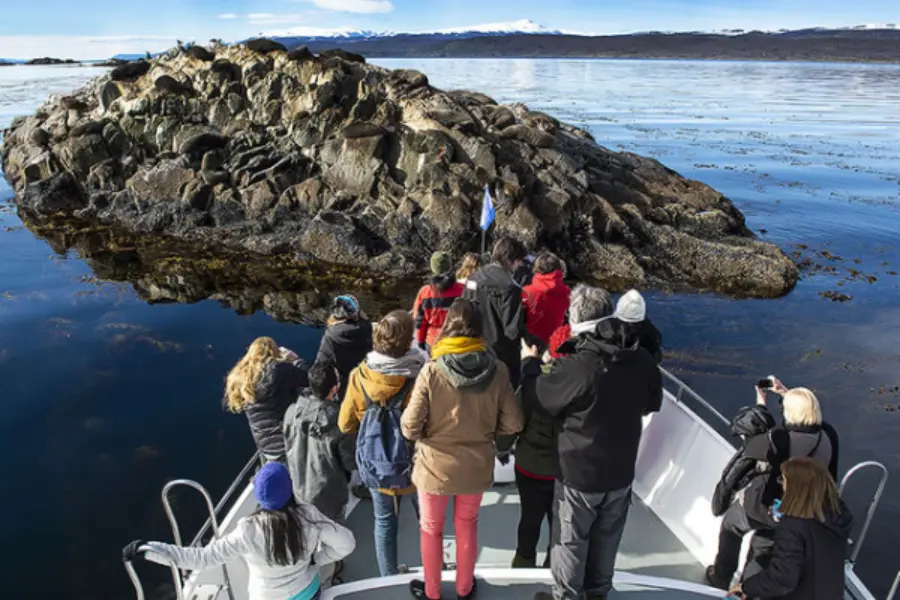 Reizigers op een boot die de fauna in het Beagle-kanaal bij Ushuaia observeren