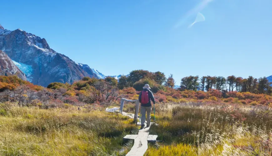 Escursionista con bastoncini da trekking su una passerella di legno tra arbusti autunnali, ai piedi di un ghiacciaio e di cime innevate, Patagonia